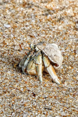 Sri Lanka Strandhopping