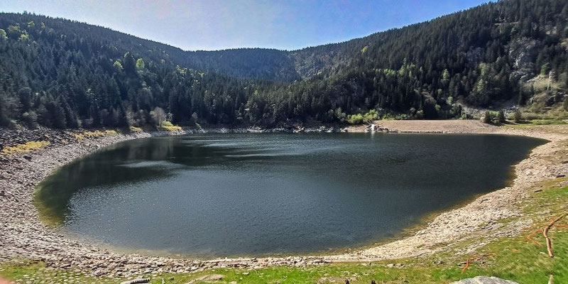 Lac Noir - Vogesen