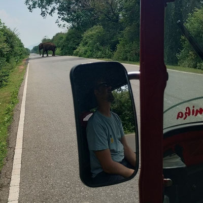 Mit dem TukTuk durch den Yala-Nationalpark