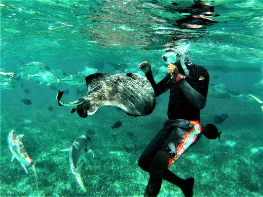 Schnorcheln Caye Caulker, Belize