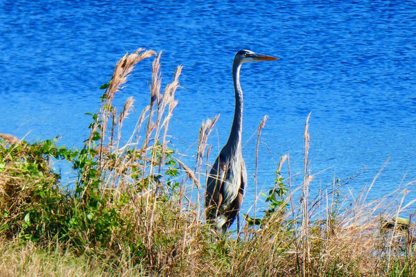 Everglades Nationalpark