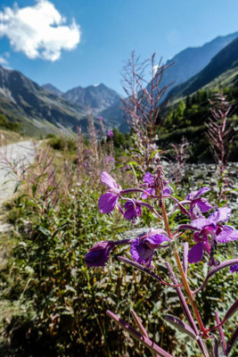 E5 Alpenüberquerung Oberstdorf Meran