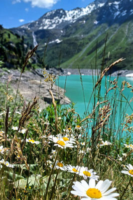 Stausee Lac de Cleuson