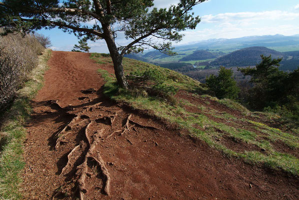 photo reportage Auvergne