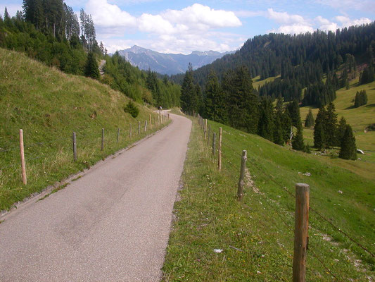 Mountainbike- Tour -Fischen - Rohrmoos-Lohbachtal 28Km