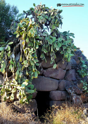 Nuraghe