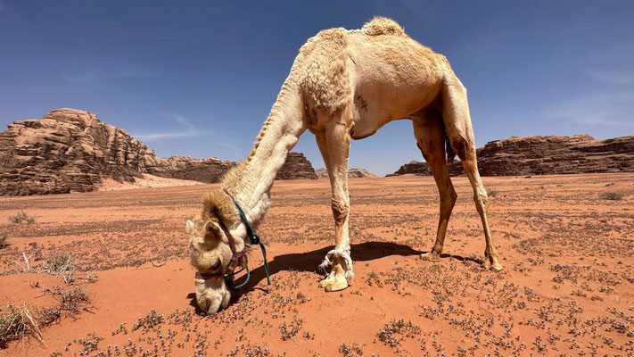 Jordanien