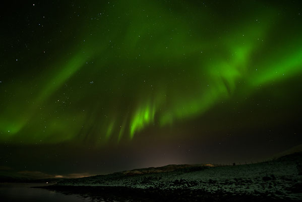 Polarlicht  Aurora borealis  "Tobilafotografie"  Toni Bischof Ladir