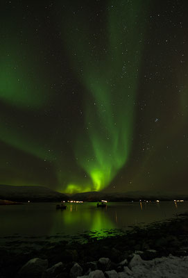 Polarlicht  Aurora borealis  "Tobilafotografie"  Toni Bischof Ladir