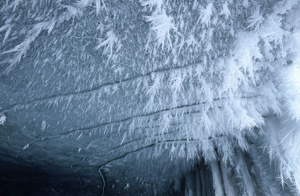 " Les Diablerets Glacier 3000 grotte glaciaire " 20201210-Eishöhle-Glacier3000_DSC3553 , Tobilafotografie  Toni Bischof, Ladir