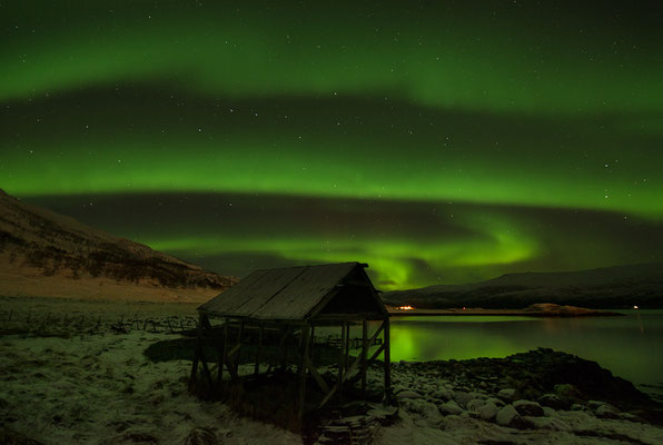 Polarlicht  Aurora borealis  "Tobilafotografie"  Toni Bischof Ladir