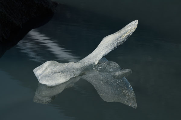 Das Lichtstudio 20260709/10 Tobilafotografie Toni Bischof, Ladir