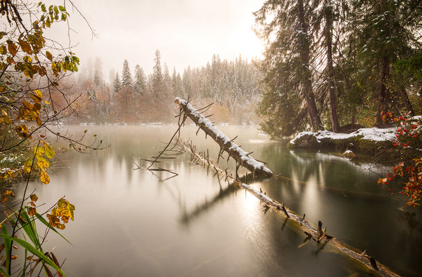 "Oktoberschnee"  Tobilafoto Toni Bischof, Ladir