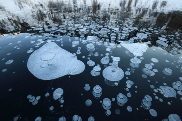 Bajkal-Gefühl auf dem Silsersee... 4.bis 6-Jan-2026 Tobilafoto  Toni Bischof, Ladir