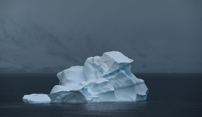 "Geo-Welt... Antarktis"  Tobilafotografie  Toni Bischof, Ladir