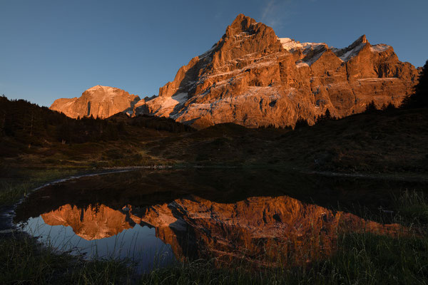 "Abendrot am Scheideggwetterhorn"  Tobilafoto Toni Bischof, Ladir