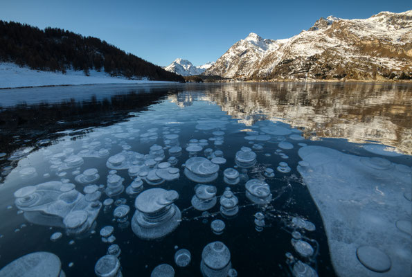 Bajkal-Gefühl auf dem Silsersee... 4.bis 6-Jan-2026 Tobilafoto  Toni Bischof, Ladir