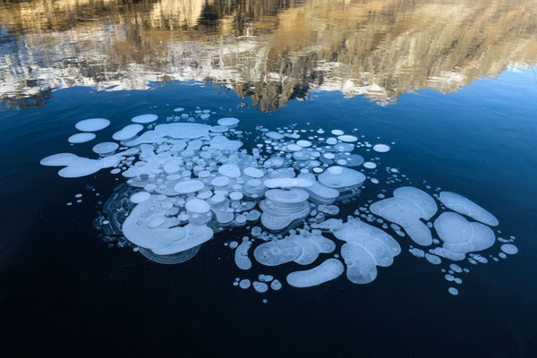 Bajkal-Gefühl auf dem Silsersee... 4.bis 6-Jan-2026 Tobilafoto  Toni Bischof, Ladir