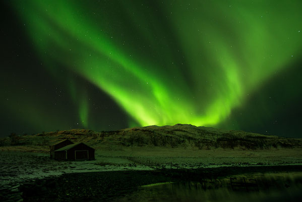 Polarlicht  Aurora borealis  "Tobilafotografie"  Toni Bischof Ladir