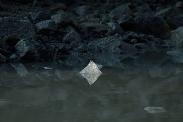 Das Lichtstudio 20260709/10 Tobilafotografie Toni Bischof, Ladir