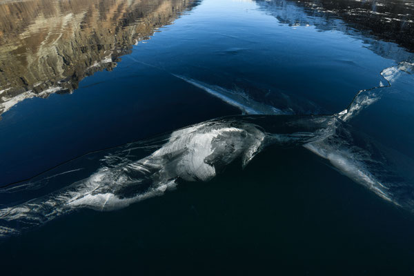 Bajkal-Gefühl auf dem Silsersee... 4.bis 6-Jan-2026 Tobilafoto  Toni Bischof, Ladir