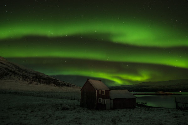 Polarlicht  Aurora borealis  "Tobilafotografie"  Toni Bischof Ladir