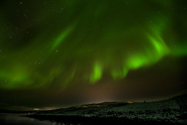 Polarlicht  Aurora borealis  "Tobilafotografie"  Toni Bischof Ladir