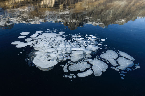 Bajkal-Gefühl auf dem Silsersee... 4.bis 6-Jan-2026 Tobilafoto  Toni Bischof, Ladir