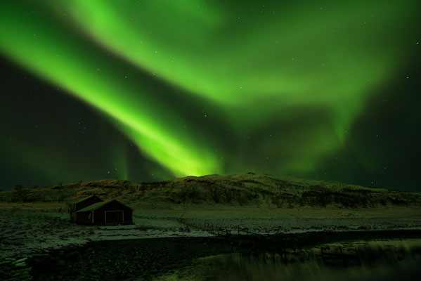 Polarlicht  Aurora borealis  "Tobilafotografie"  Toni Bischof Ladir