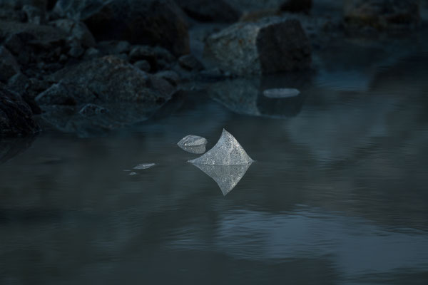 Das Lichtstudio 20260709/10 Tobilafotografie Toni Bischof, Ladir
