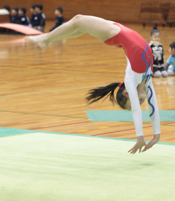 体操育成クラスはこちら!!