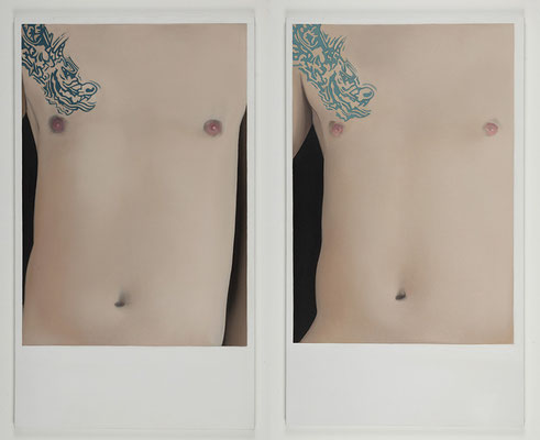 'Subject Free I and II' 120x70cm x2 oil on canvas, 2009