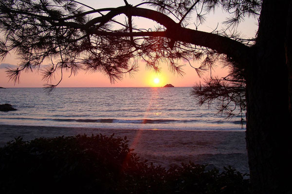 Lever de soleil plage de Pinarellu