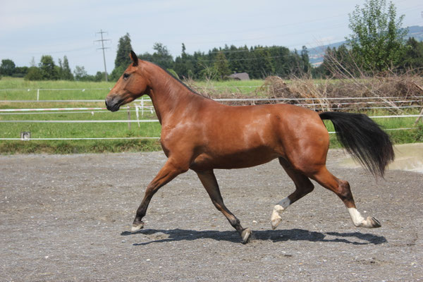 Chanelle - Foto: Jenny Commons