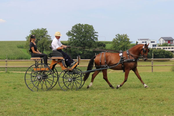 Quilaro am 19.08.2023 am Feldtest