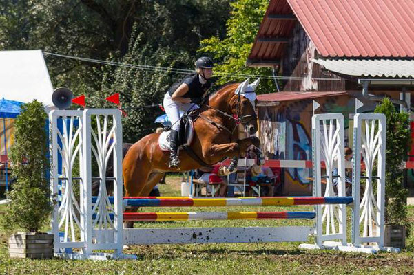 Foto: Horsefotograf.ch