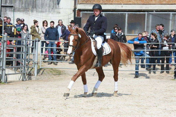 Louis - Foto: Karin Rohrer