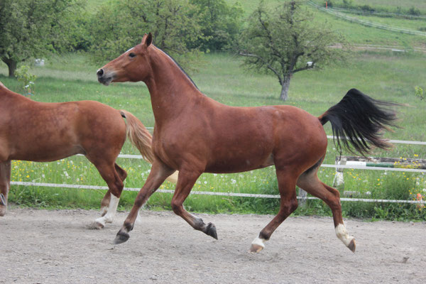 Noemi am 25.05.2019 - Foto: Jenny Commons