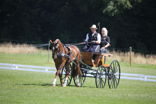 Hermes am Feldtest - Foto: Karin Rohrer