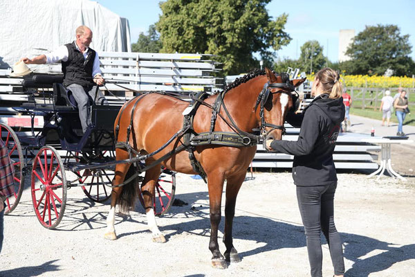 Dayana am Feldtest Schwarzenburg 2020