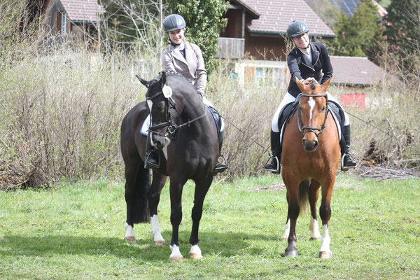 Noah Novel und Navajo vom Sagenhof am Feldtest - Foto: Karin Rohrer