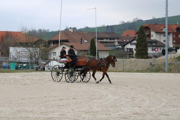 Noel als Sieger am Feldtest in Plaffeien 03.04.2021