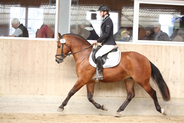 Calypso vom Cherhof - Foto: Karin Rohrer