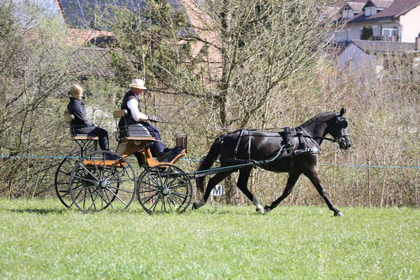 Foto: Karin Rohrer