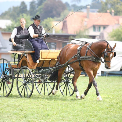 Nordstern v. Fürberg