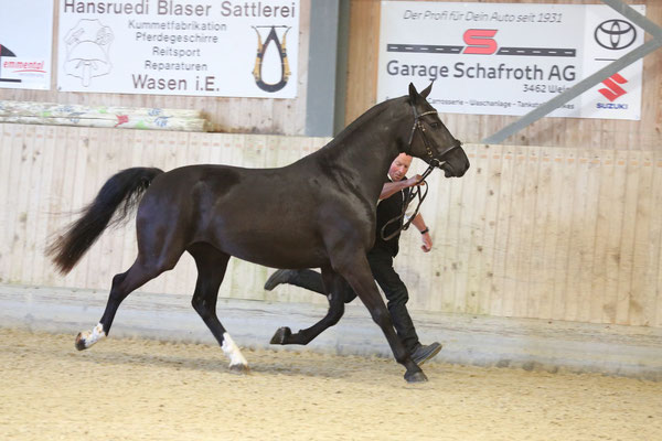Foto: Karin Rohrer