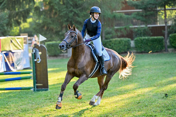 Exaequo am Concours Dielsdorf - Foto: Sportfoto-Mo