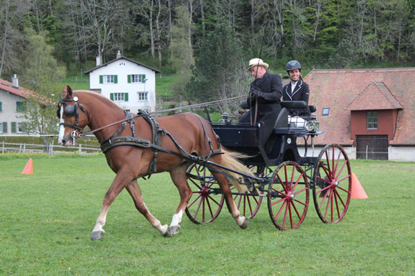 Fahren - Foto: Jenny Commons