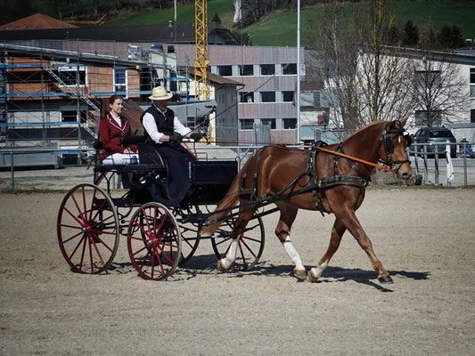 Luano am 30.03.2019 am Feldtest Plaffeiein