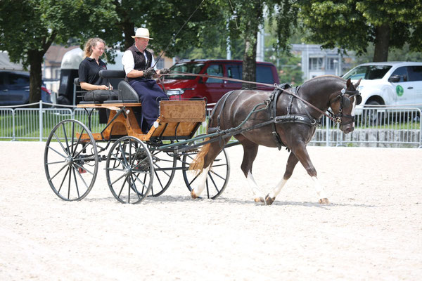 Nymeria vom Sagenhof